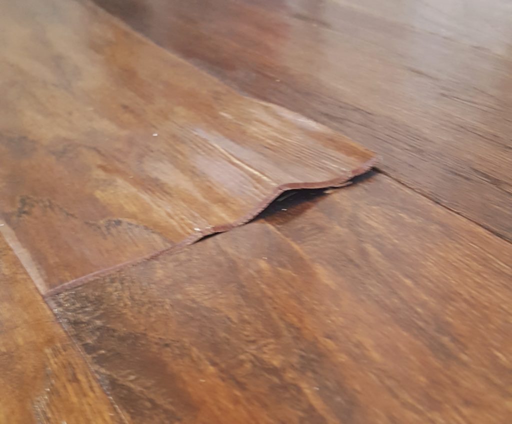 Fix water damaged wood floor